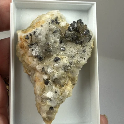 £5 • Buy Sphalerite Mounted Boxed Mineral Specimen Nenthead Cumbria UK