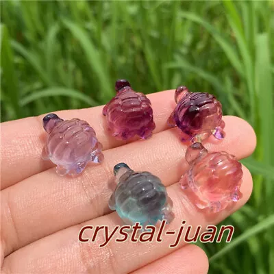 5pcs Natural Mini Fluorite Turtle Figurine Quartz Crystal Skull Reiki Heal • $1.37