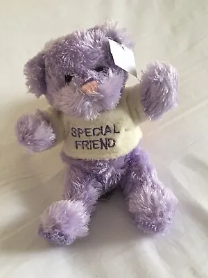 Special Friend Teddy Bear Gift With Jumper *Brand New With Tag* • £9.99