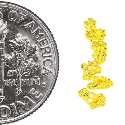 0.2788 Gram Alaska Natural Gold Nuggets - (#77447) - 5pcs Alaskan Gold Nuggets • $18.06