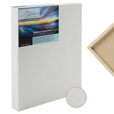 Da Vinci Pro Medium Textured Panel  8  X10   1-5/8   Deep • $20.52