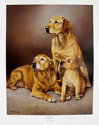 £38.28 • Buy NIGEL HEMMING YELLOW LABRADOR LAB DOGS Hand Signed Ltd Edition Lithograph