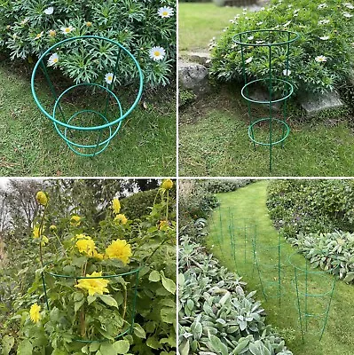 Conical Cage Frame Metal Plant Supports Multipacks Sets Of 5 Herbaceous Peony • £26.99