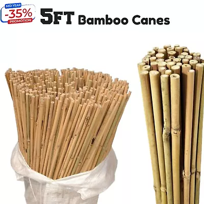 5FT Bamboo Wooden Canes Strong Thick Support Garden Plant Flower Veg Large Stake • £8.98