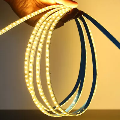 50m 220V LED Neon Strip Lights Flexible LED Tape DIY Sign House Building Decor • $163.90