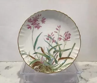 £34.60 • Buy 1880s Mintons Hand Painted 8.5” Botanical Cabinet Plate, Wild Orchids, Gold Trim