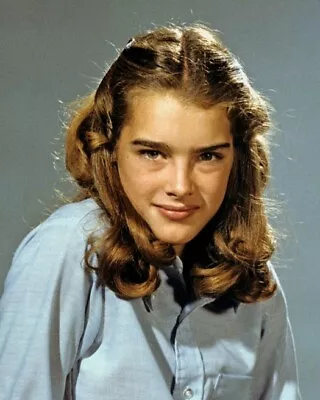 Model Actress BROOKE SHIELDS Glossy 8x10 Photo Poster Print Celebrity Portrait • $5.49