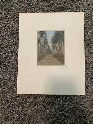 Eustis Pines Charles Sawyer Handcolored Photograph Signed Titled • $19.99