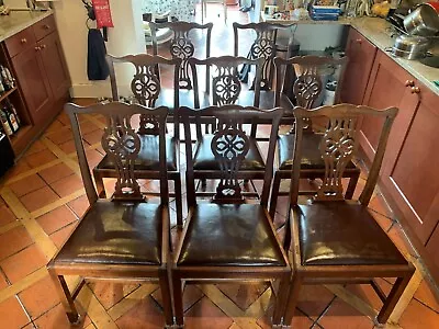 £550 • Buy Set Of Eight Georgian Style Dining Chairs