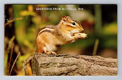 Mayville WI-Wisconsin General Greetings Chipmunk Antique Vintage Postcard • $7.99