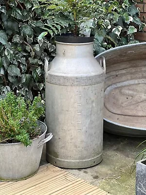 Zinc Milk Churn/planter • £50