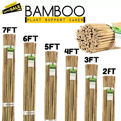 Bamboo Garden Canes Heavy Duty Thick Pole Strong Plant Support Cane Sticks  • £9.49