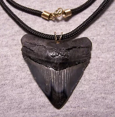 Megalodon Shark Tooth Necklace 2 1/8  Fossil Jaw Sharks Teeth Pendant Serrated • $59