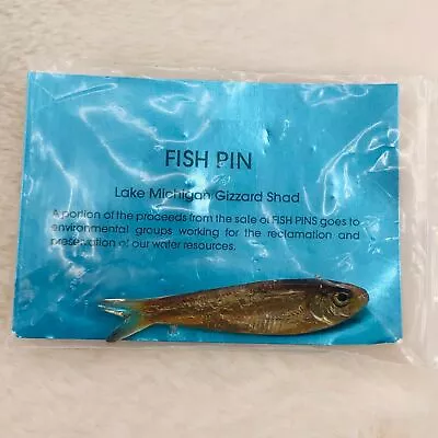 Vtg 1981 Ken Loeber Real Lake Michigan Gizzard Shad Taxidermy Fish Art Pin • $114.39