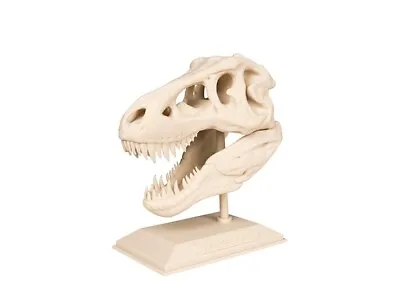 T-Rex Skull Model | Dinosaur Skull Model | Skull Model • £14.99