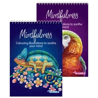 Adult Anti Stress Spiral Colouring Books Colour Therapy Stress Release • £2.99