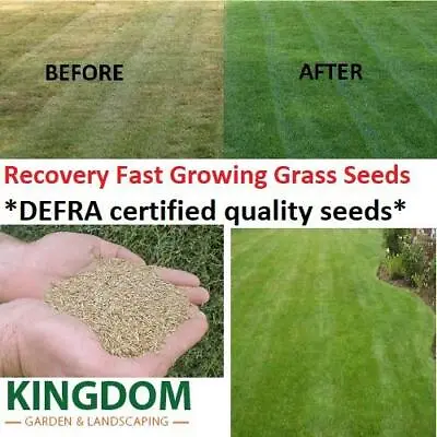 Grass Seed Lawn Seeds Recovery Fast Repair Tired Patch Lawns Defra Certified • £3.90