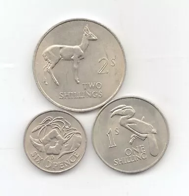 $4 • Buy Zambia Uncirculated 1964 3 Coins Set-Lot E23