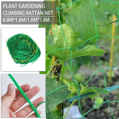 £4.79 • Buy Plant Support Mesh Garden Net Vegetable Fruit Climbing Netting Pea Bean Trellis`
