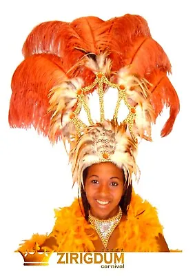 Ostrich Feather Headdress Brazilian Feather Headdress Showgirl Hat Headipiece • £173.40