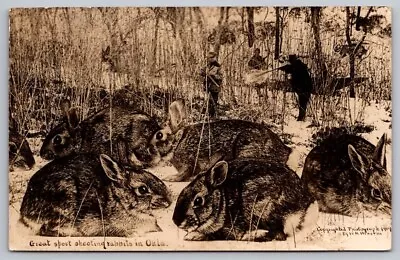 Exaggeration RPPC Postcard Martin Three Hunters Shooting At Large Rabbits • $8.76