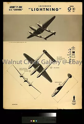 P-38  Lightning  World War II Plane ID Poster Art Print Approx13.8 X9.4  09110 • $7.70