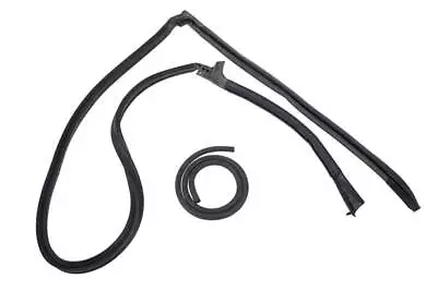 1981-84 Ford Mustang; T-Top To Body Weatherstrip; With 30  Pillar Post; LH • $103.49