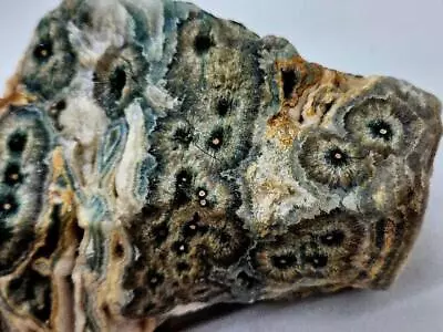 Madagascar 3 Pounds Ocean Jasper Lapidary Rough Nice Orbs • $180