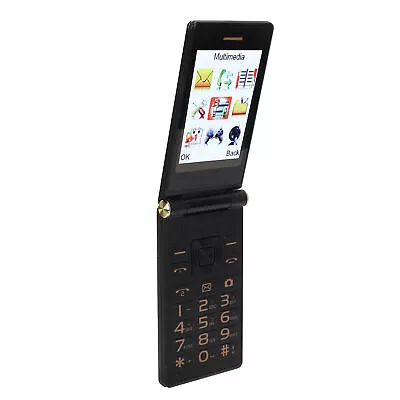 (Tarnish)Plum Flipper 4G LTE Unlocked Flip Phone - Large Screen Prominent • $65.77