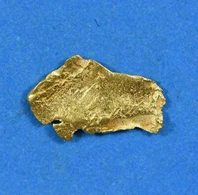 Alaskan-Yukon BC Gold Rush Natural Gold Nugget 0.22 Grams Genuine • $22.91