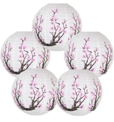 5 Chinese Lanterns Japanese Pink Cherry Blossom Paper Sakura 14  Diameter  • $13.99