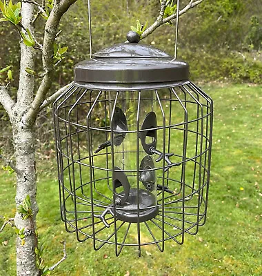 £21.99 • Buy Squirrel Proof Hanging Bird Seed Feeder Heavy Duty Garden Wild Birds