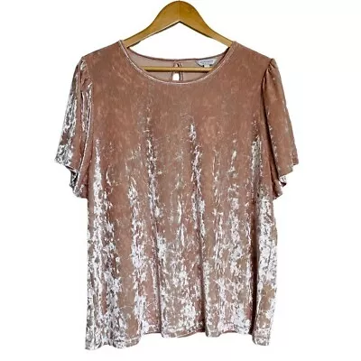 Lucky Brand Flutter Sleeve Pink Velvet Top 1X Keyhole Plus Size Career Blouse • $31.01