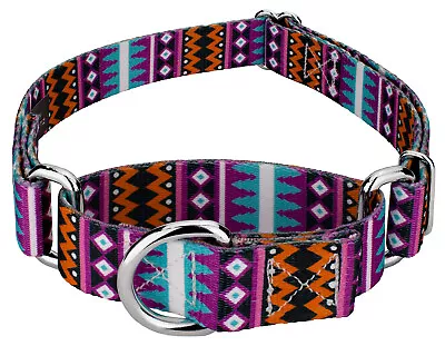 Country Brook Petz® Santa Fe Martingale Dog Collar • $12.97