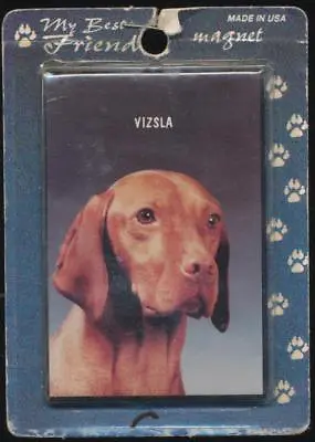 My Best Friend Hungarian Or Magyar Vizsla Dog Refrigerator Magnet NOS • $7