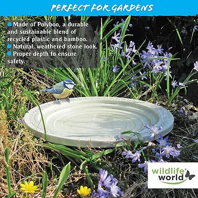 £21.20 • Buy Nature Oasis Bird Insect Mammals Bath And Drinker By Wildlife World