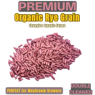 10lb Premium Dry Rye Grain - Organic Rye Berries - Mushroom Grain Spawn Rye • $21.95