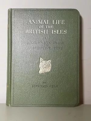 Animal Life Of The British Isles-A Complete Guide With Descriptive Text-E Step • £4.99