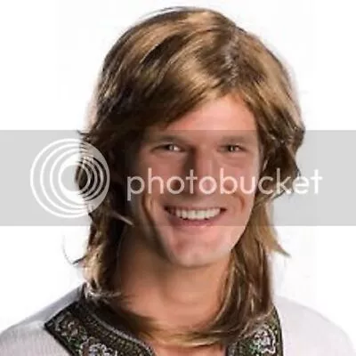 Mens Adult 70s 80s Guy Deluxe Brown Hippie Costume Wig • $15.95