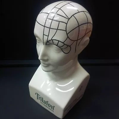 Vintage Boehm Phrenology Head Bust For Scherings Pharmaceutical Tranquilizer  • $249