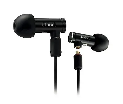 FINAL E4000 In-Ear Earphones Hi-Res Headphones IEM Earbuds (Black) Open Box • $108.90