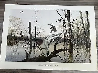 RJ McDonald  Green Timber Greenheads  Print Signed & Numbered 1082/1250 • $129.99