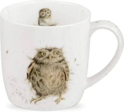 Royal Worcester Wrendale Designs Coffee Mug - What A Hoot (Owl) 14oz • $19.99