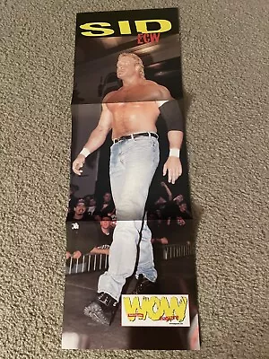 Vintage SYCHO SID VICIOUS JUSTICE & MANKIND ECW Wrestling Centerfold Poster WWF • $7.99