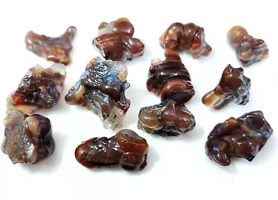 100% Natural Mexican Raw Fire Agate Polished Rough Gemstone Wholesale Lot 249cts • $59.99