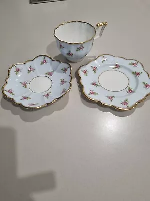 Salisbury English Vintage Bone China Cup Saucer Plate Set • $70