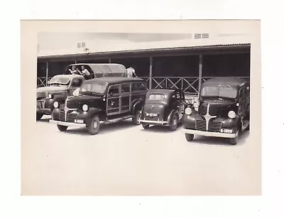 South Africa Dodge Panel Van Trucks 1940s Black & White Snapshot Photograph • $14.95