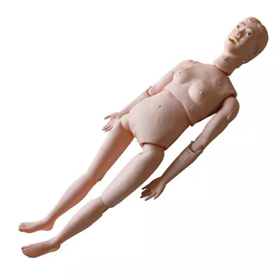 $293.48 • Buy Anatomica Medical Female Patient Care Manikins For Nurse Training Model New