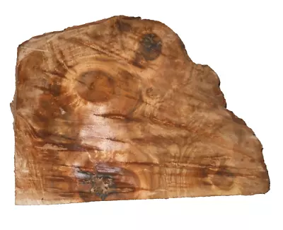 MYRTLEWOOD BURL CAP LIVE EDGE TURNING CRAFT WOODWORKING APPROX 11.5x9x2.5 IN • $24.50