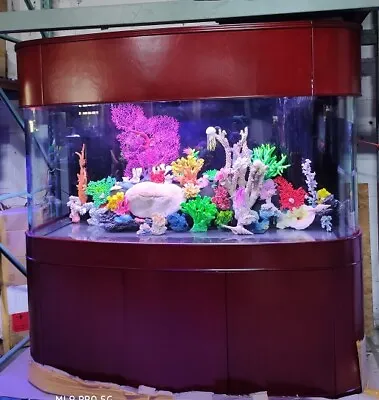 MONSTER TANK! WARRANTY INCLUDED 380 Gallon GLASS Bow Front Aquarium Fish Tank • $17150